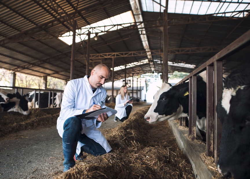 Redditività e gestione dell’alimentazione – Corso 2023